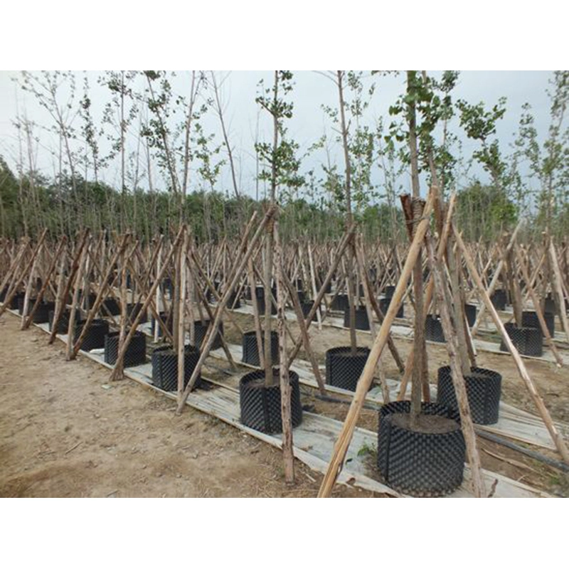 Plant Grow Pot PE/PVC Container PE/PVC Air Root Pruning Pots for Trees/Flowers/Vegetables/Crops Growing