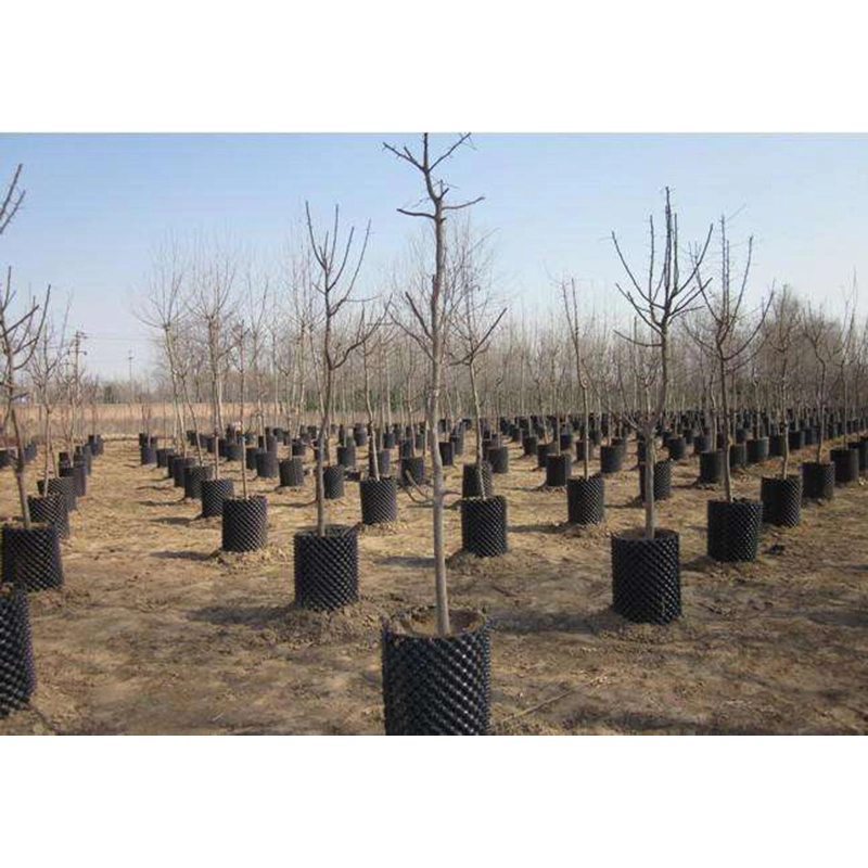 15-60cm Height HDPE/PVC Air Pruning Container for Planting Seedling Root Controller Pot Root Rapid Raising for Tree Vegetable