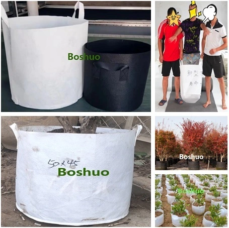 Jumbo Large 50 75 80 100 125 150 200 300 400 500 Gal Gallon Plastique Jardin Arbre Enracinement Drainage Air Élagage Plante Pépinière Semis Planteur Pot Chine Fournisseur