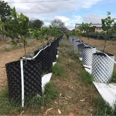 Pot d'élagage à l'air pour légumes végétaux