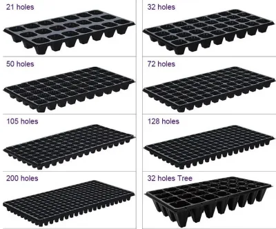 Plateau de semis pour semis de concombre en serre agricole